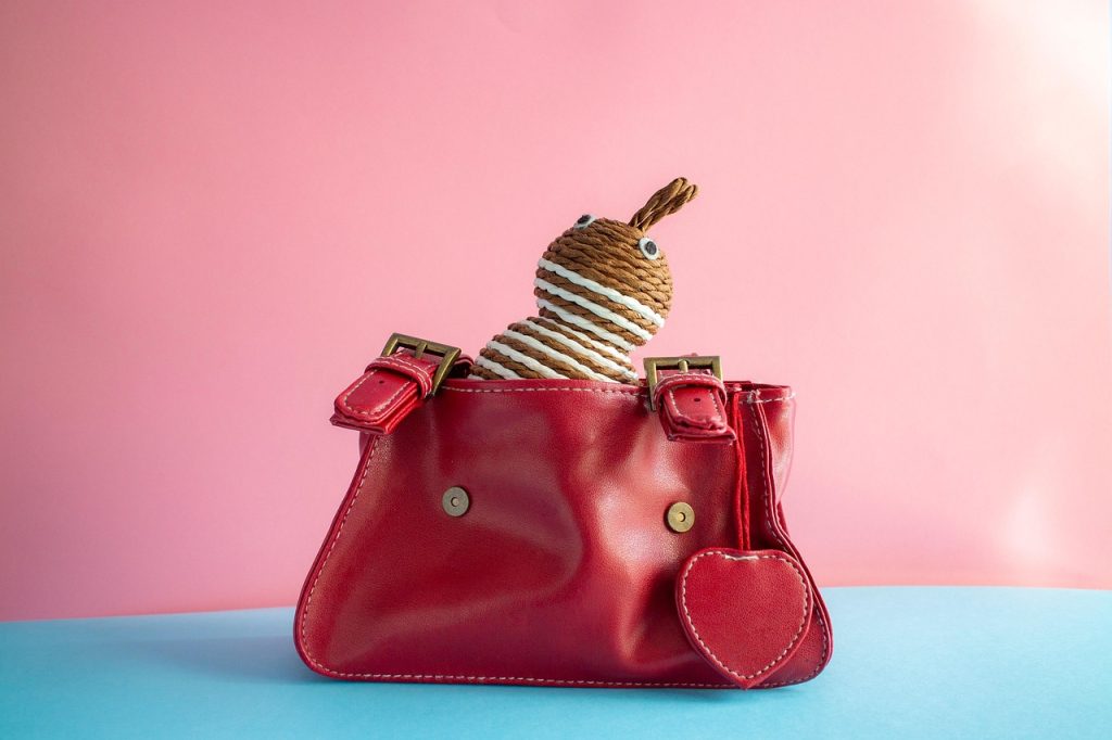 Free Handbag Leather photo and picture